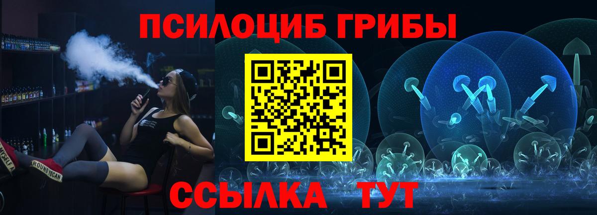 Псилоцибиновые грибы Psilocybine cubensis Вязьма